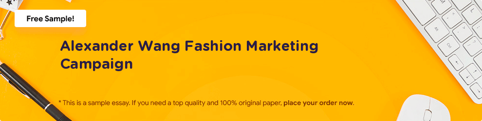 Free «Alexander Wang Fashion Marketing Campaign» Essay Sample