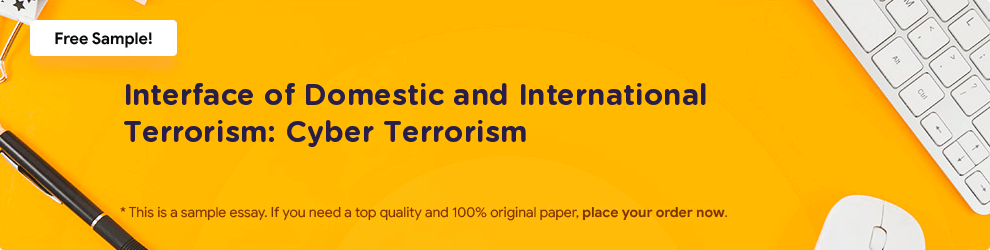 Free «Interface of Domestic and International Terrorism: Cyber Terrorism» Essay Sample
