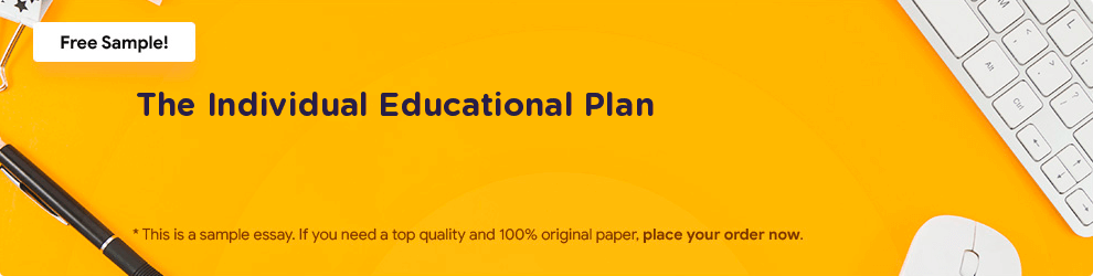 Free «The Individual Educational Plan» Essay Sample